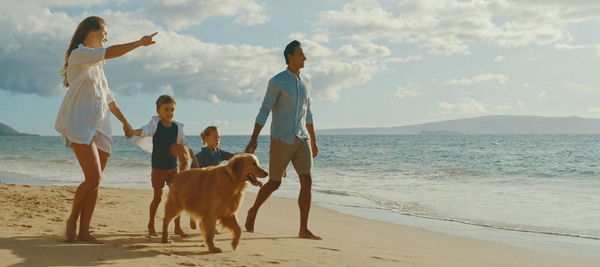 happy dog owners at beach